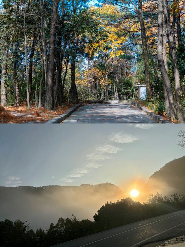 劍門關-劍閣翠雲廊｜2日遊全攻略 玩轉蜀道天險