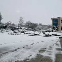 First snow of 2024 in yantai,North China