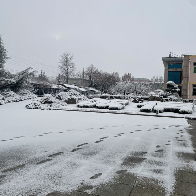 First snow of 2024 in yantai,North China