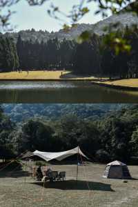 廣西玉林小眾森林公園，仿若來到北歐「森系秘境」