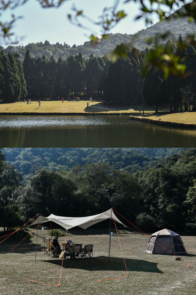 廣西玉林小眾森林公園，仿若來到北歐「森系秘境」