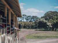 墨爾本小非洲，Werribee 真的值得一去