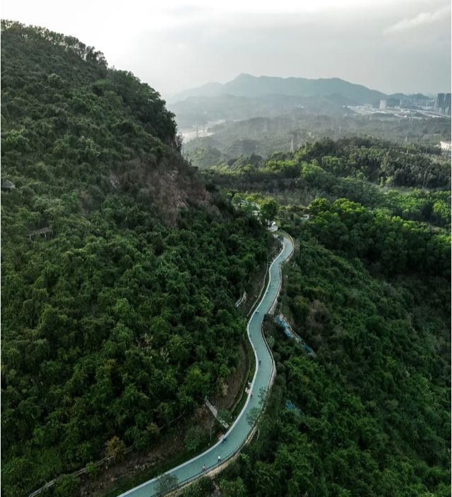 深圳徒步·休閒綠道適合新手任務
