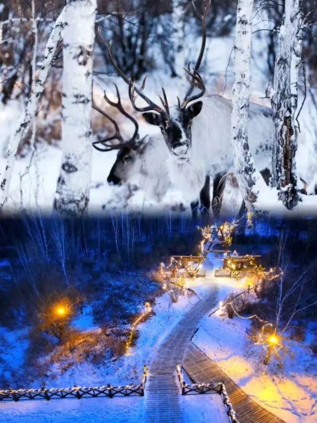 Discover Hidden Gems | A City Colder than Mohe in the Arctic | Cold Pole Genhe