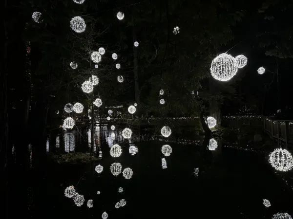 Capilano Suspension Bridge Park during Christmas Month