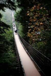 Capilano Suspension Bridge Park: A Must-Visit in Rainy Weather