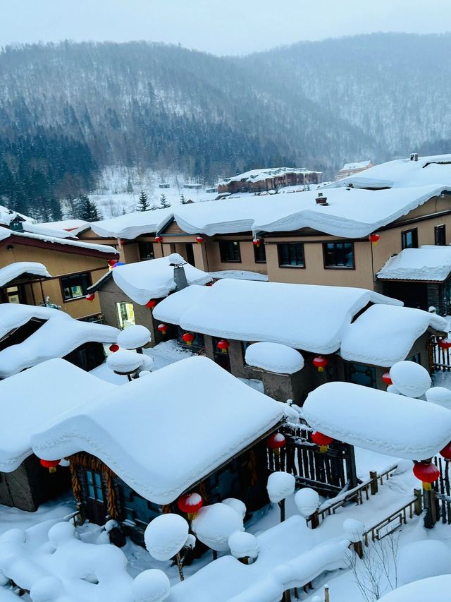 哈爾濱-延吉-長白山6日滑雪行 全程無憂冰雪美景等你來