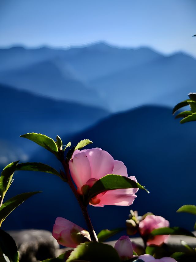 貢山-獨龍江，邂逅黑娃底的獨特景致