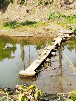 "Walking in the Countryside, Discovering Zigong" in Dingxin, Rong County