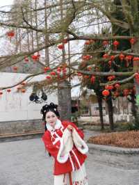 新年反向旅行聽說鹽城沒什麼好玩的
