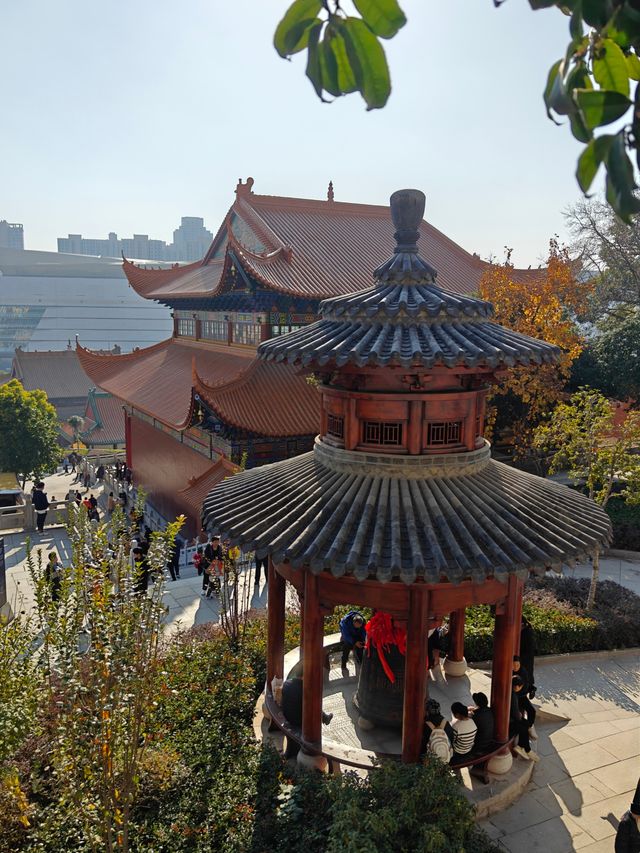 武漢旅遊 | 來寶通禪寺拜拜可以順道吸個貓