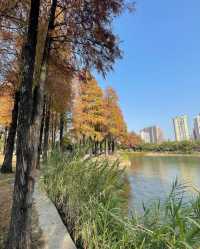 四海公園，邂逅冬日暖陽的浪漫