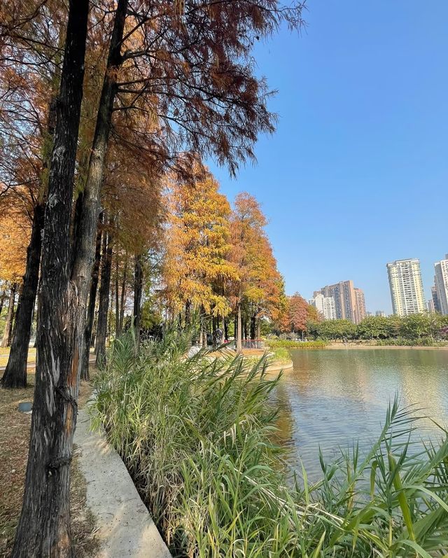 四海公園，邂逅冬日暖陽的浪漫