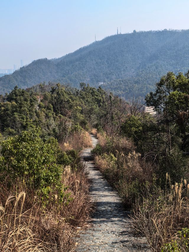 桃花嶺山脊線-嶽麓山穿越
