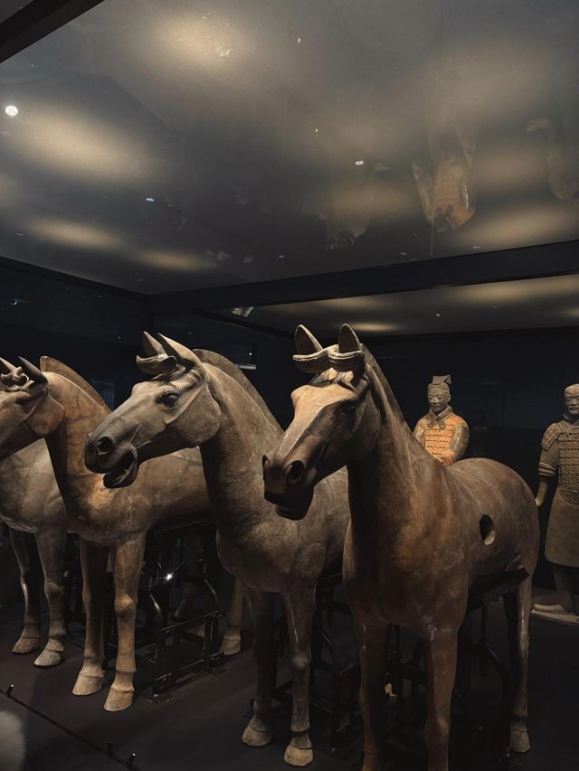 穿越時空的震撼秦始皇兵馬俑 穿越時空的震撼秦始皇兵馬俑