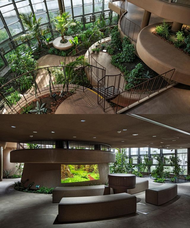 東京最小植物園，藏在鬧市中的治癒綠色空間！