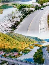 寧波「蛇形路」