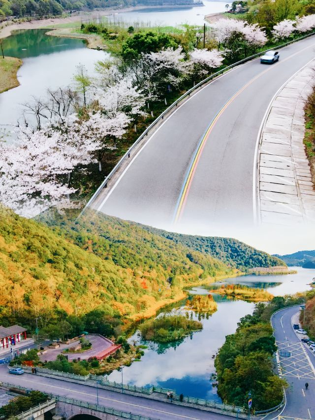 寧波「蛇形路」