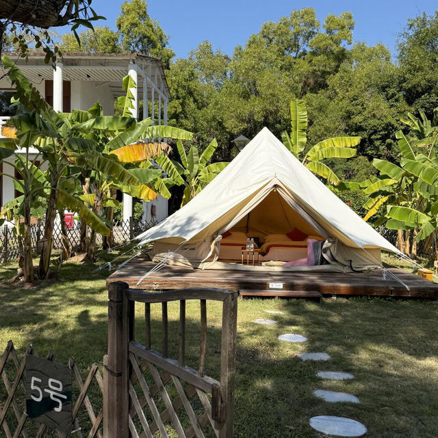 🌴不是版纳，深圳竟藏著這般熱帶雨林度假民宿！
