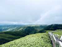 雨霧中的阿西里西韭菜花坪，不用濾鏡就能拍出的山水畫