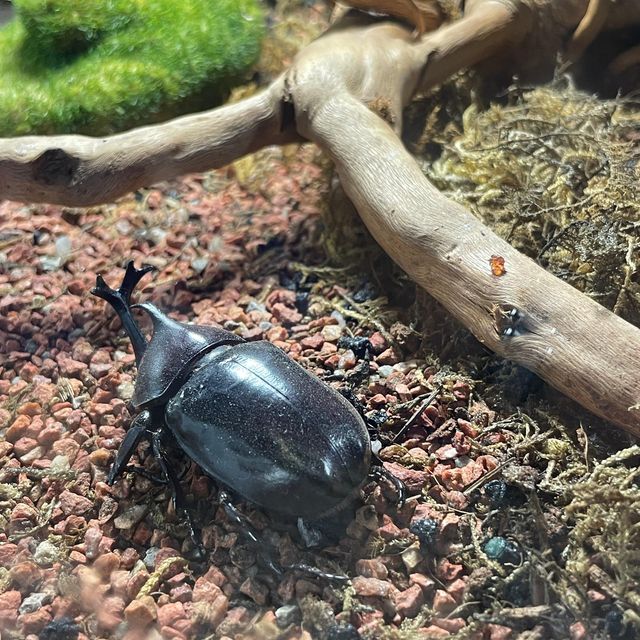 吉林遼源市田雨小鎮:田園詩畫中的夢幻樂園 吉林遼源市田雨小鎮:田園詩畫中的夢幻樂園