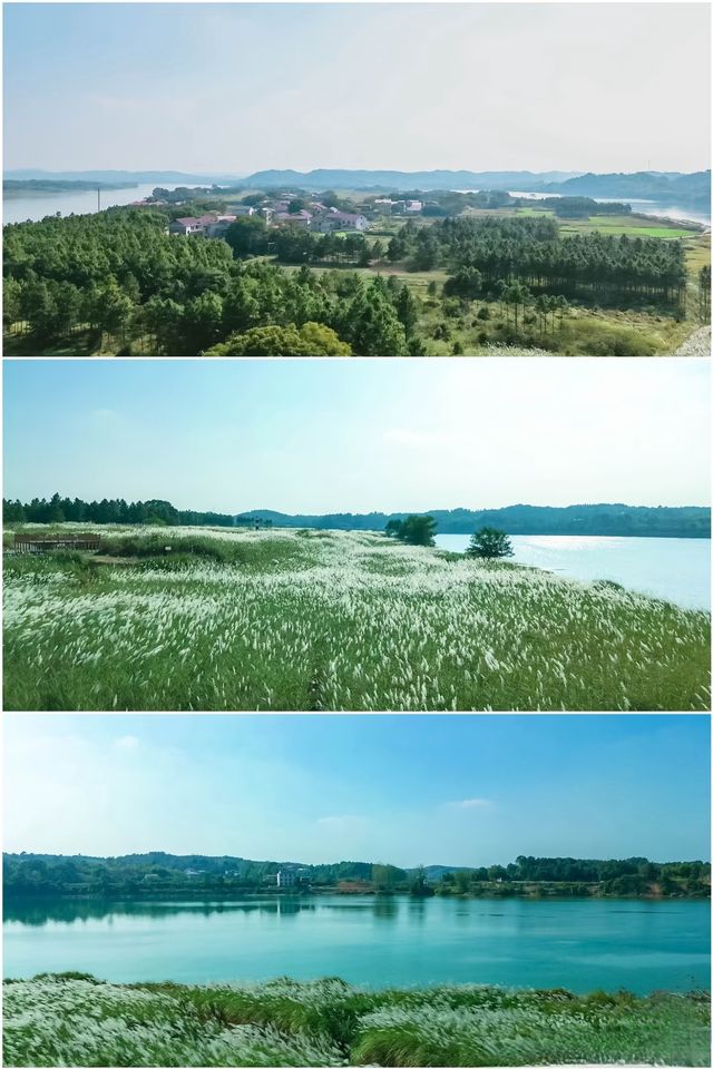 99%長沙人都不知道的挽洲島，冬日露營超正！