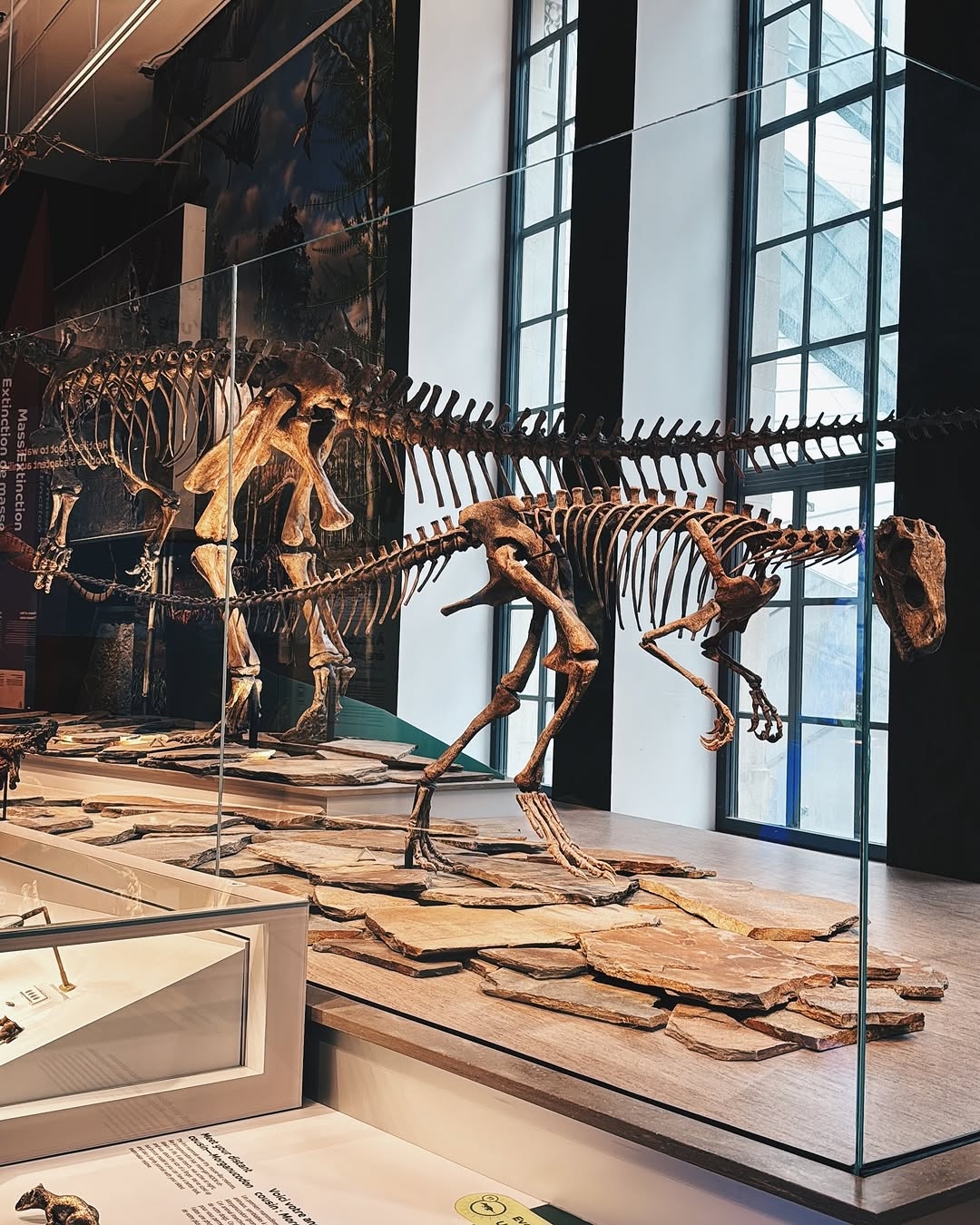 Toronto post-travel blues hit me hard! These 10 things have completely captivated me...