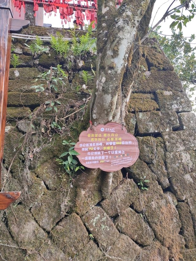 武夷山兩天遊
