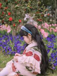 3月中旬不要錯過上海市區的這片鬱金香花海