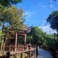 🌳探尋中山隱秘角落，踏入真實版綠野仙蹤