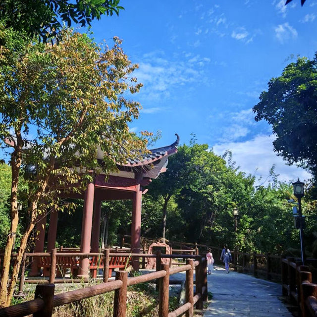 🌳探尋中山隱秘角落，踏入真實版綠野仙蹤