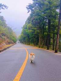 7日探秘江西南昌-廬山-婺源 邂逅國家地理級山水風光
