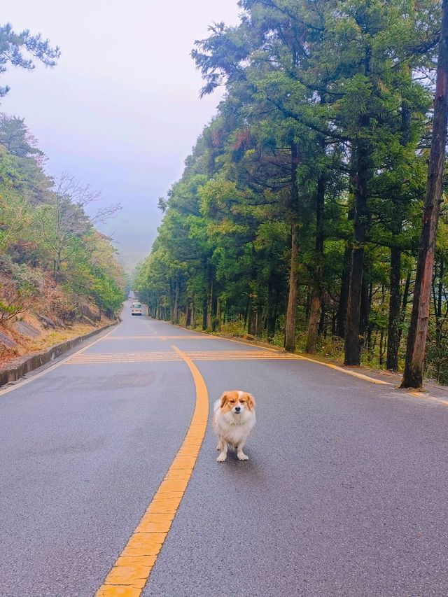 7日探秘江西南昌-廬山-婺源 邂逅國家地理級山水風光