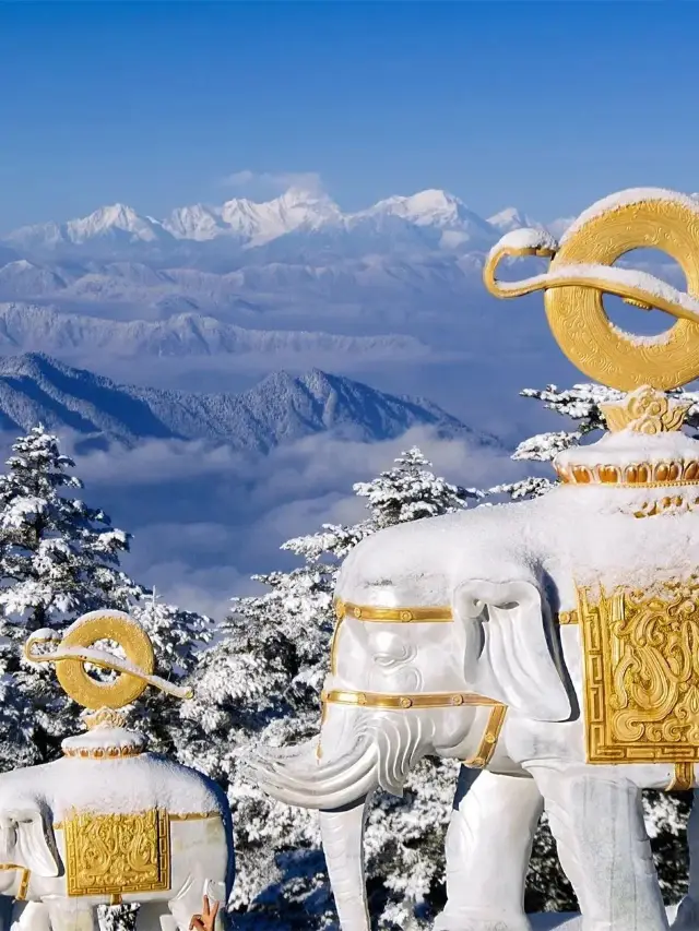 Qingcheng Mountain-Dujiangyan-Leshan 2-Day Tour: Explore the Culture of Sichuan