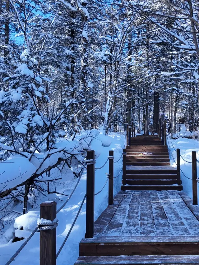 Yanbian-Baishan Short Holiday Travel Guide: Easy and Hassle-Free Fun