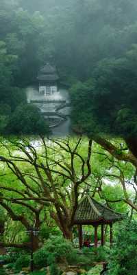 杭州五年，我最愛的六條登山秘徑