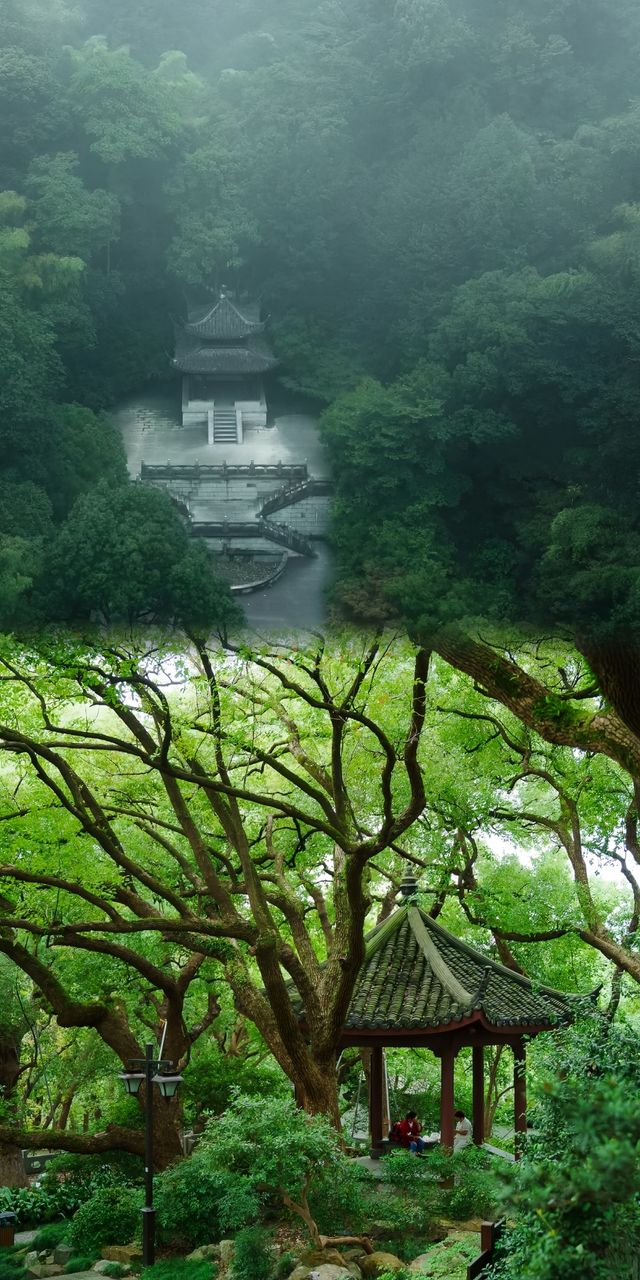 杭州五年，我最愛的六條登山秘徑