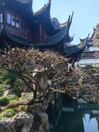 早春二月，展開上海三日遊