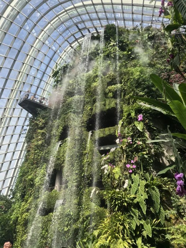 Explore the Enchanting Gardens by the Bay in Singapore