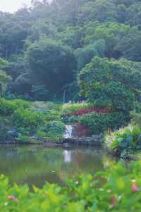 深圳有自己的阿勒泰！——恩上濕地公園