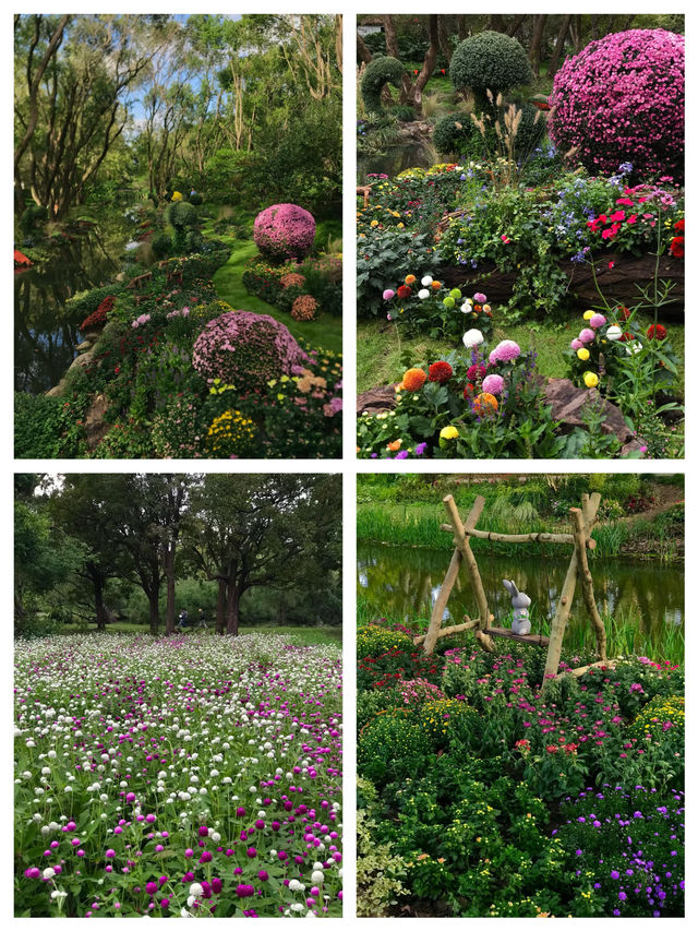 《3月上海莫奈花園，邂逅浪漫春光》