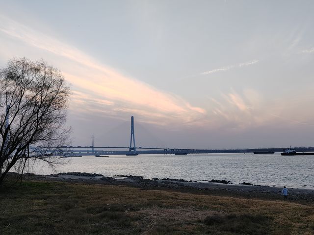 魚嘴濕地公園：邂逅江邊的自然秘境