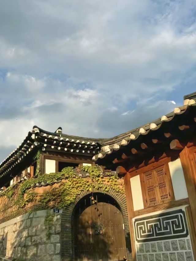 韓國河南市旅遊攻略：泡菜與咖啡的奇妙碰撞！