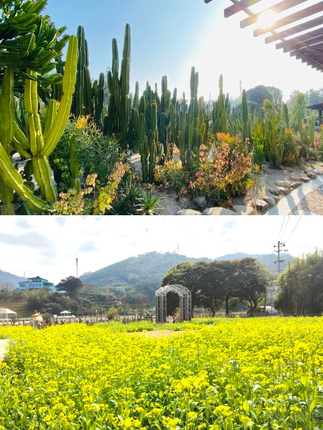福建春季賞花10大精選路線上線！收藏！