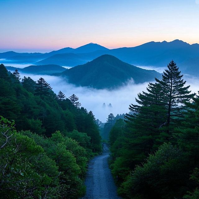 日本尾鷲市旅遊全攻略 小眾寶藏地大公開