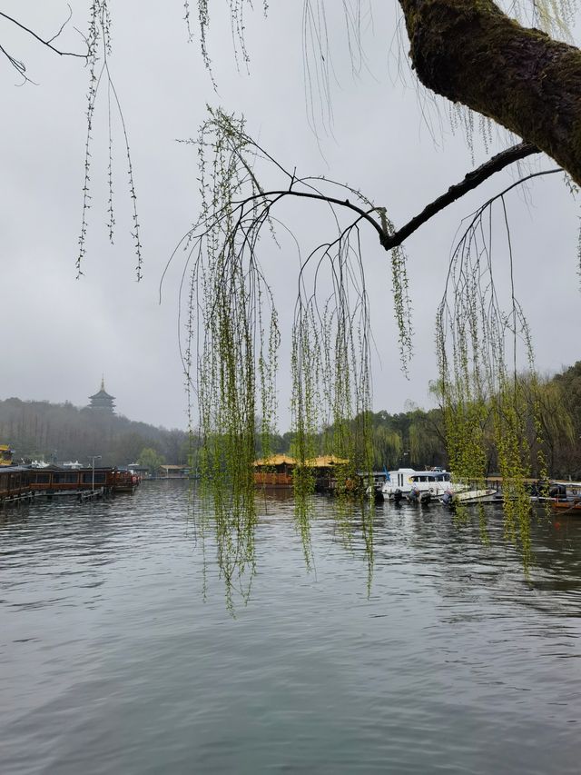 春日嘅淨慈寺
