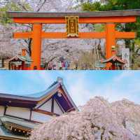 🌸櫻花季去大阪奈良 | 建議直接複製這條路線