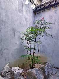 蘇州嚴家花園丨隱藏在古鎮裡的江南園林