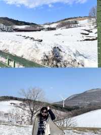 韓國洪川郡：小眾寶藏旅行地