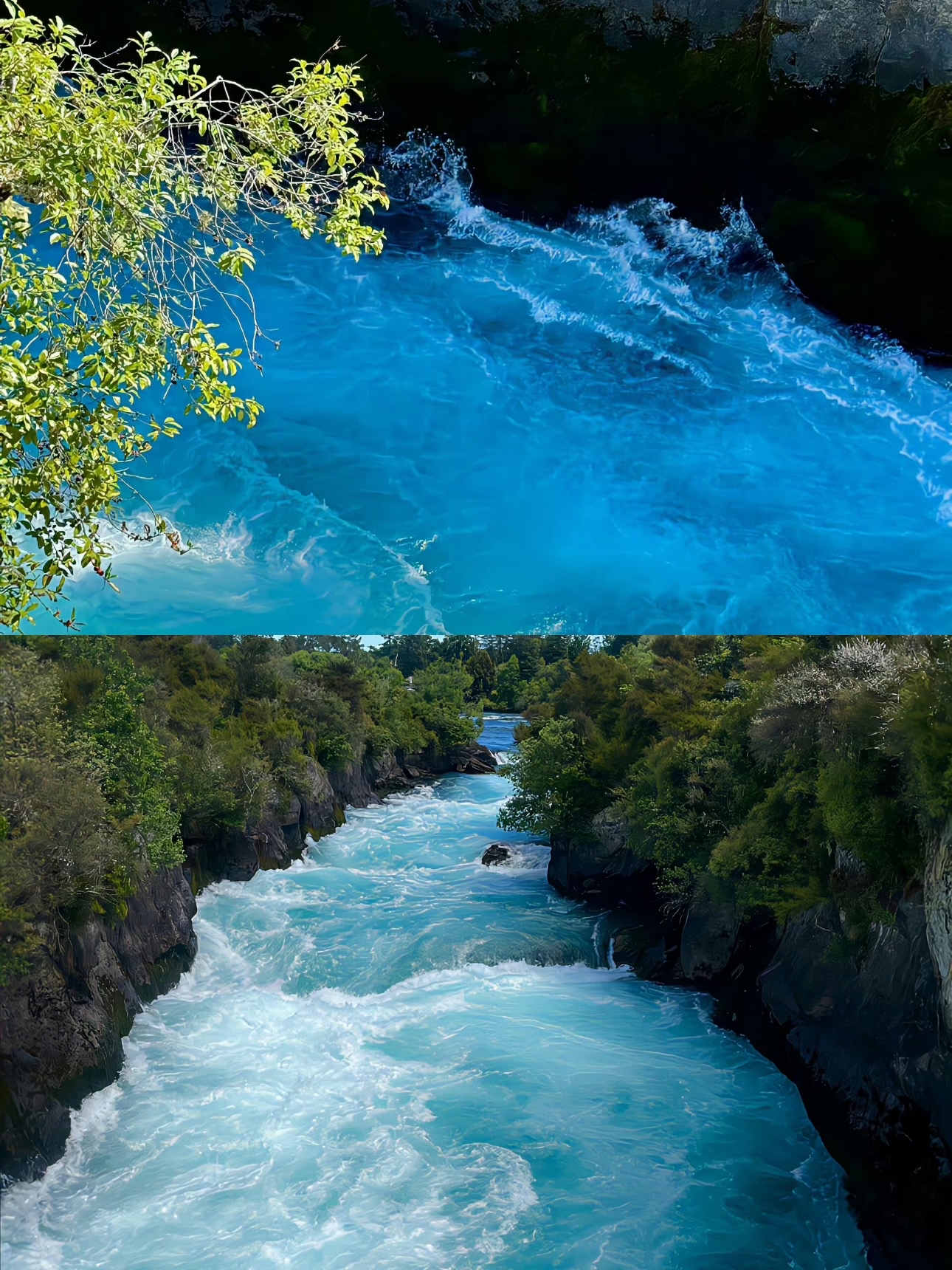 Blenheim, New Zealand